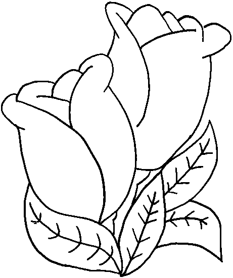Tulip Line Drawing - ClipArt Best