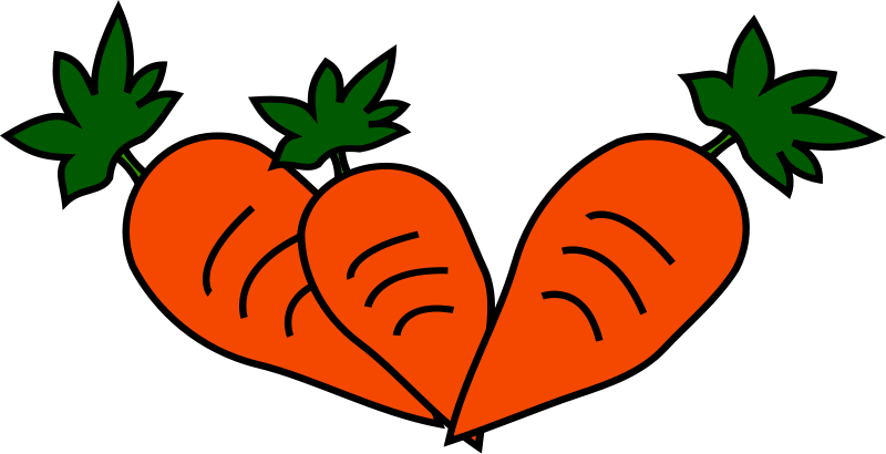 Pictures Of Carrots - ClipArt Best