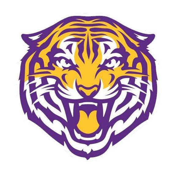 Tin Roof Brewing Co. to release officially licensed LSU beer ...