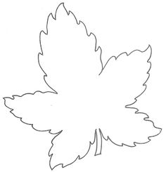 577 views Shape, Leaves and Paper