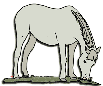 Pony free downloads clip art clipart image #24077