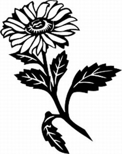 Aster Flower Drawing - ClipArt Best