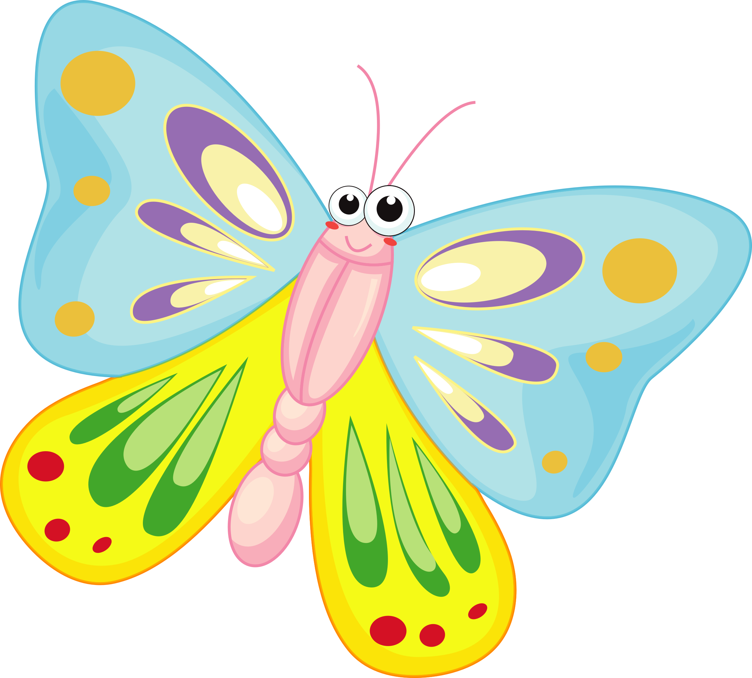 Butterfly Vector Art - Free Public Domain Stock Photo