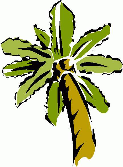 Clip art palm tree artwork | Ojai Pictures Gallery