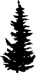 Silhouette Of Evergreen Tree - ClipArt Best