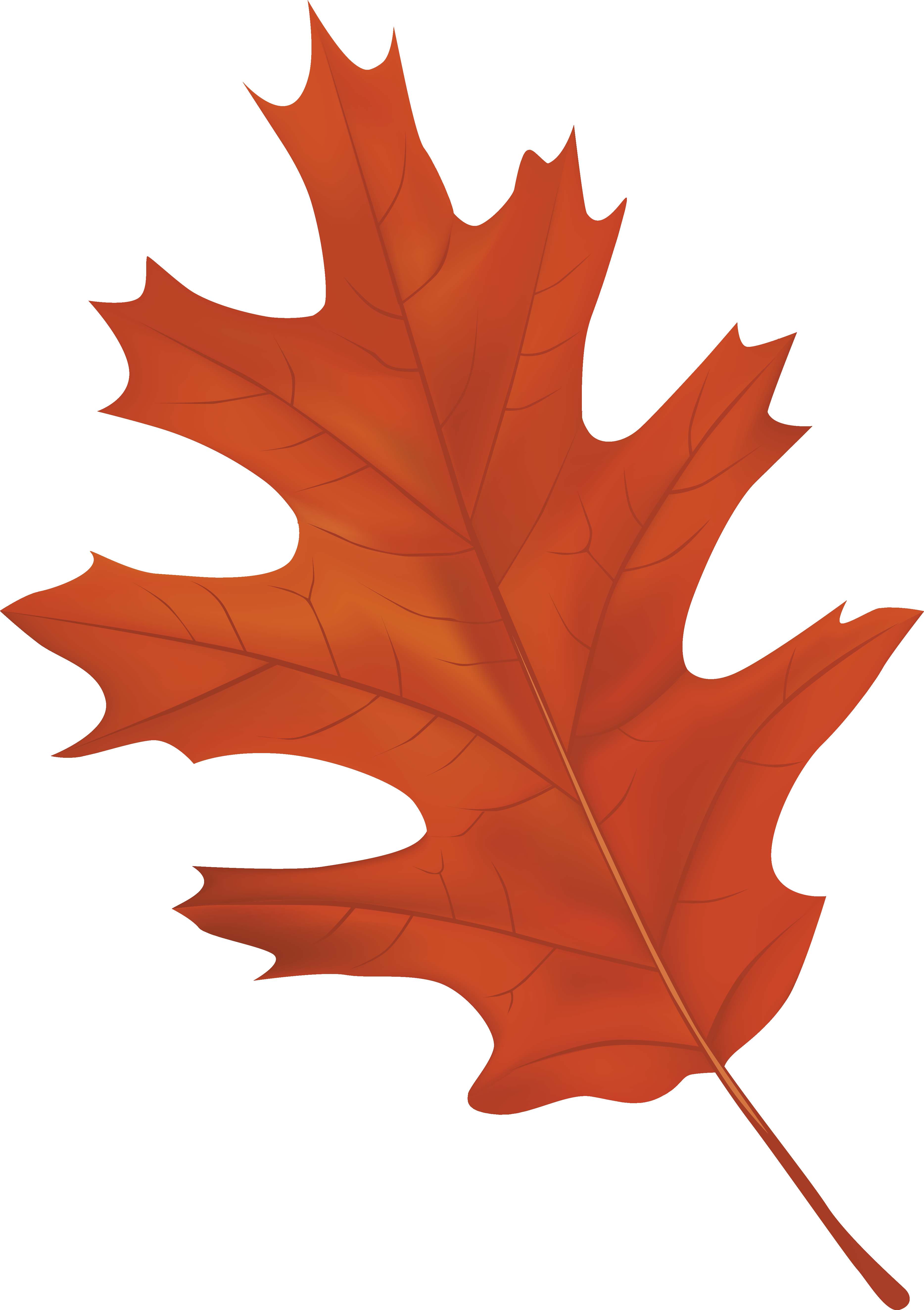 Autumn Leaf Clipart Best