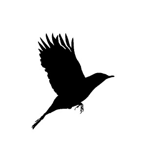 Black Bird Outline - ClipArt Best