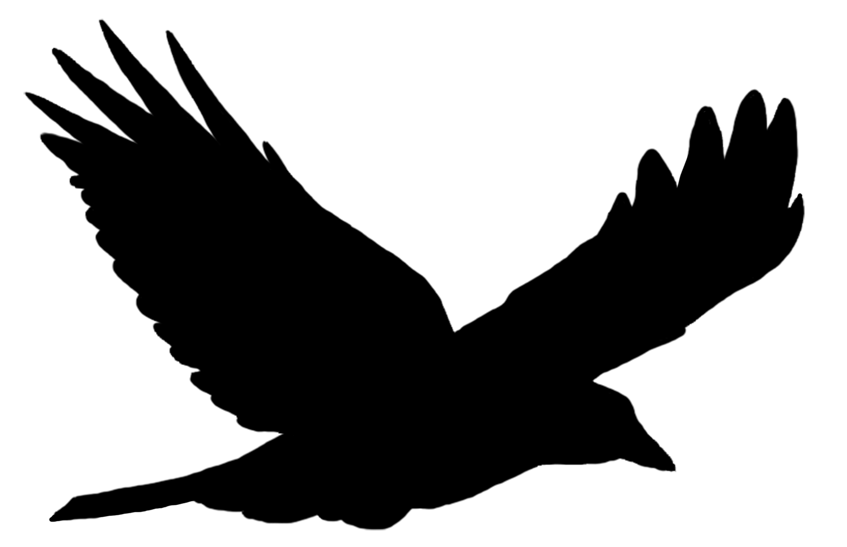 Flying Bird Outline ClipArt Best