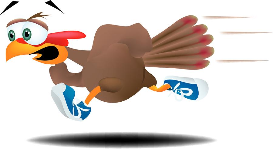 35+ Turkey Running Away Clipart