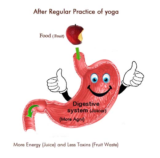 Yoga for Digestion | Yoga to Improve Digestive System | The Art Of ...