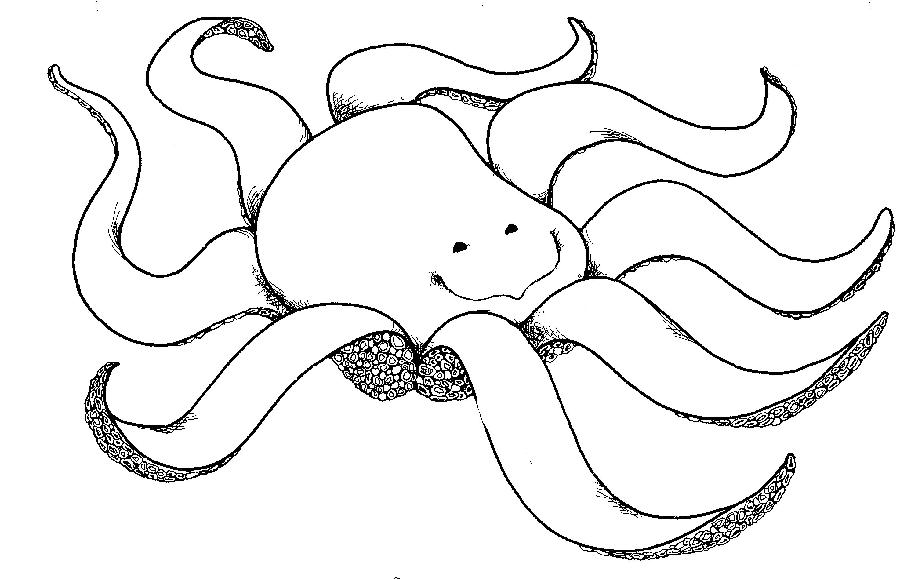 Nautical Octopus | Jenny Smith
