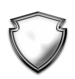 Silver Special Forces Logo