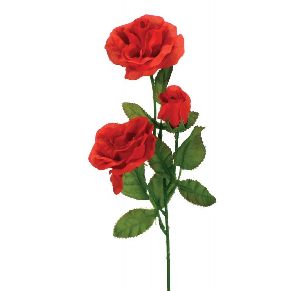 Pix For > Red Rose Flower Stem