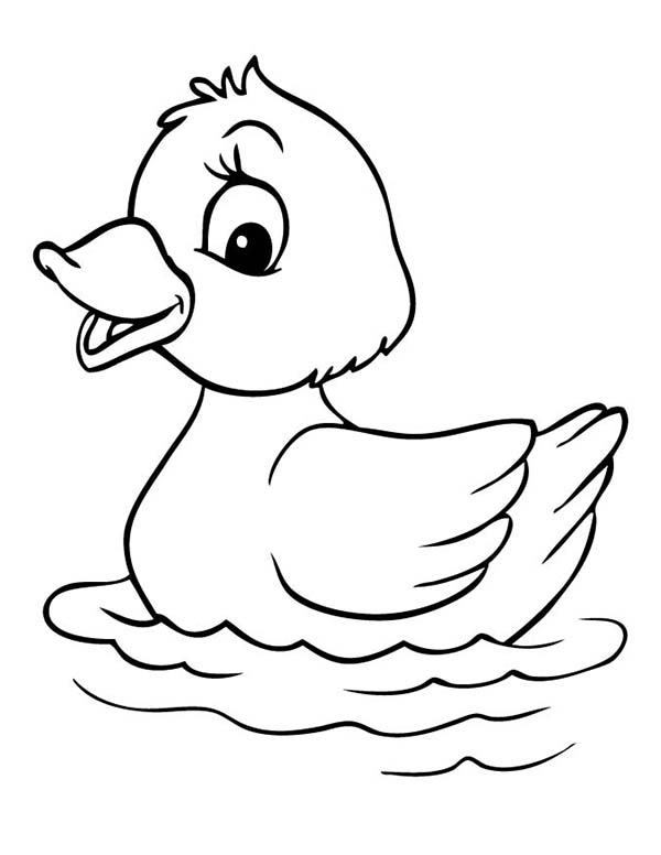 baby duck coloring pages - photo #3