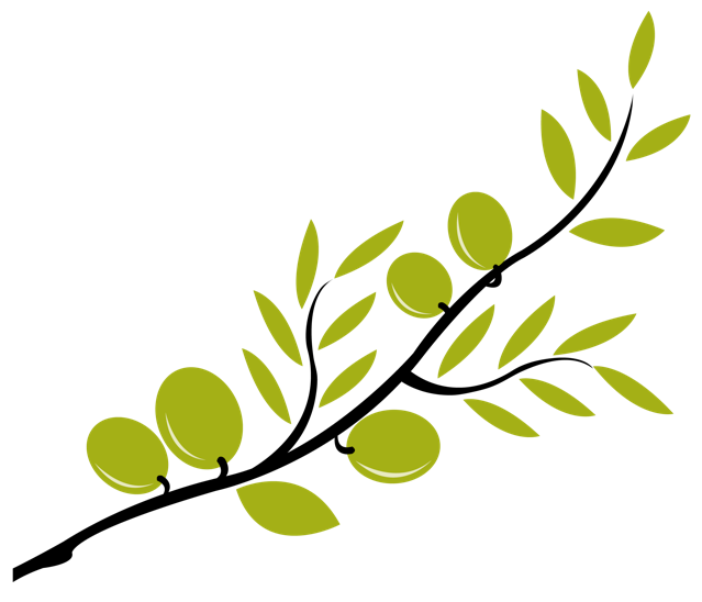 Olive Branch Clip Art