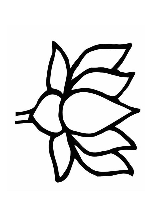 Coloring page lotus - img 11002.