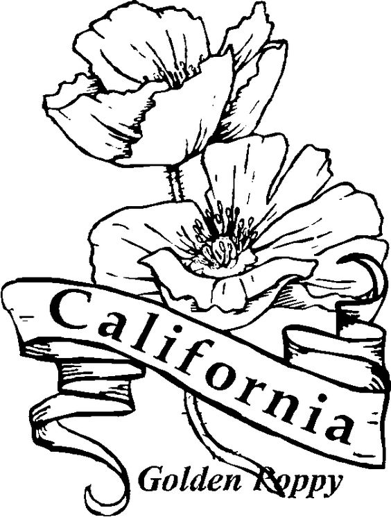 Coloring, Coloring pages and Flower
