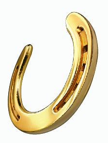 Horseshoe Icon.jpg
