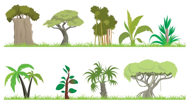 Cartoon Jungle Trees