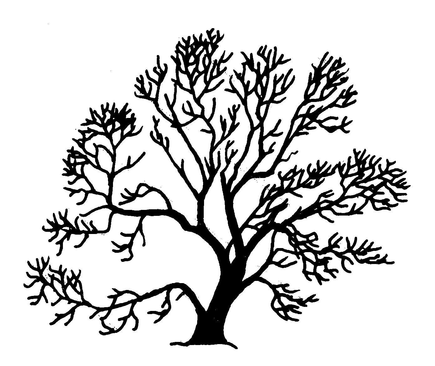 Silhouette Of Trees - ClipArt Best
