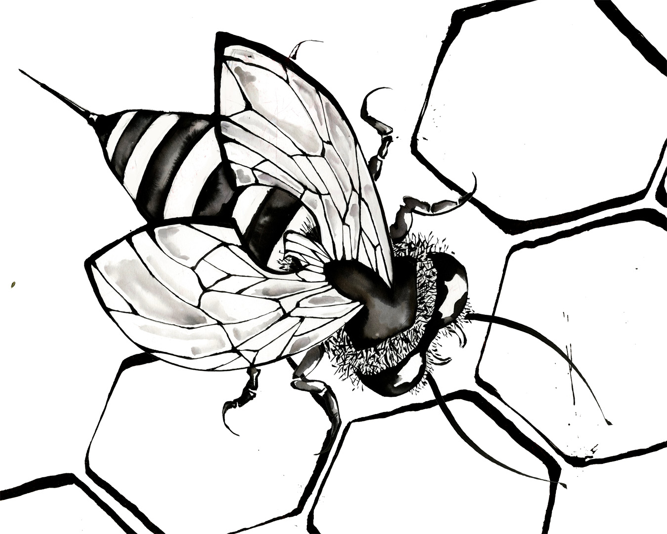 bee