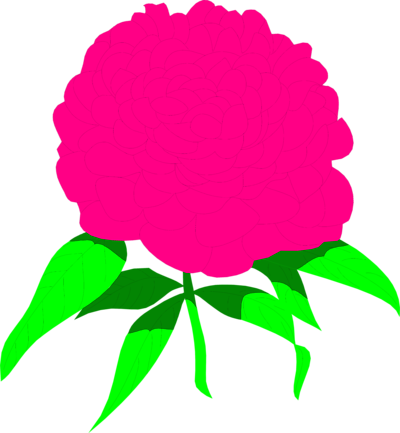 Free Stock Photos | Illustration Of A Pink Peony Flower | # 8483 ...
