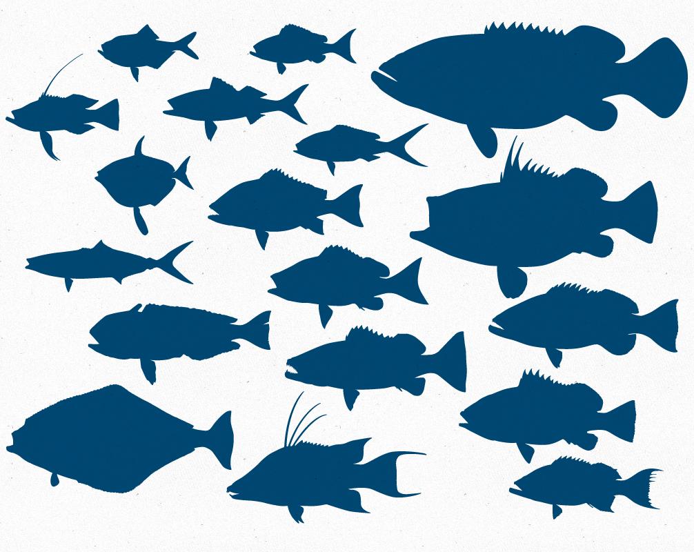 Free Vector File – 18 Deep Sea & Reef Fish Silhouettes | The ...