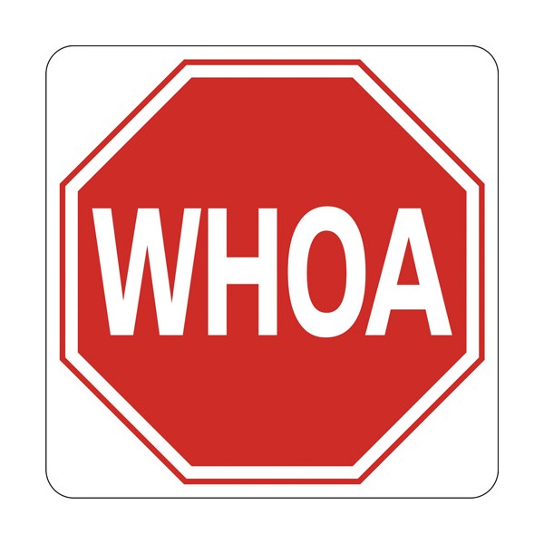 Stop Sign / Whoa - Ozark Leather Company