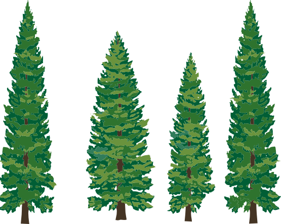 Free Clip Art Pine Trees