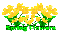 springf1.gif