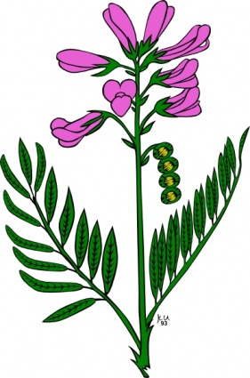 Purple Flower clip art vector, free vector images
