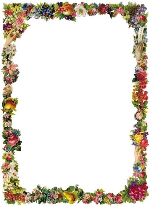 clip art free floral border - photo #17