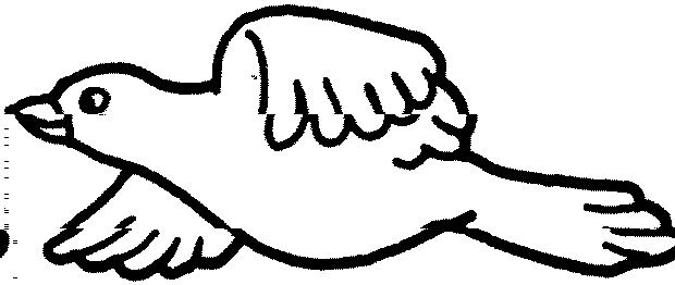 Outline Bird