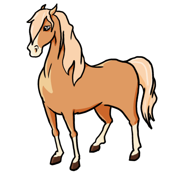 Cartoon Drawings Horses