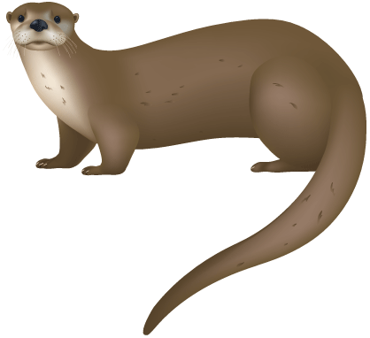Cute Images Of An Otter Clipart