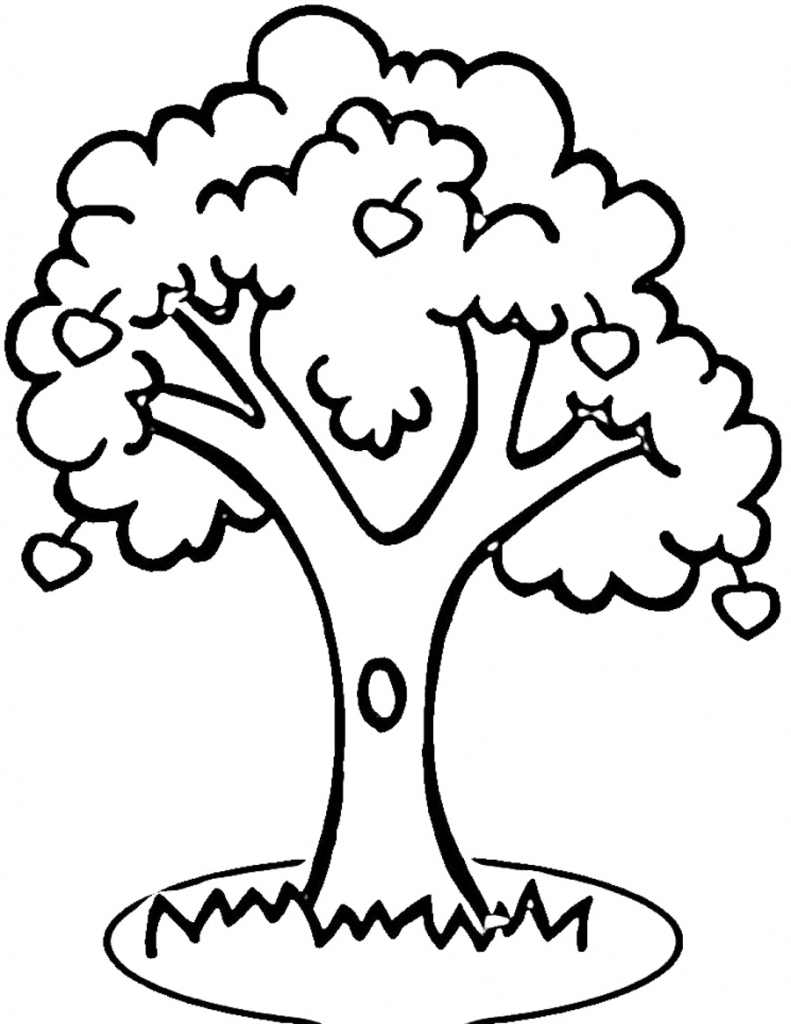 Tree Outline Drawing - Drawing Art Library