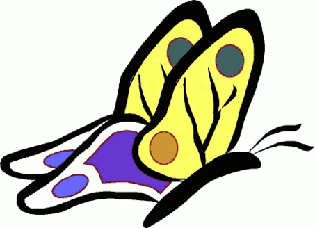 Animated Butterfly Clip Art Clipart - Free to use Clip Art Resource