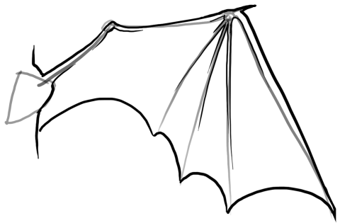 Sketching, Bats and How to draw