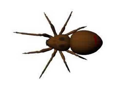 Spider Walk Animation - YouTube
