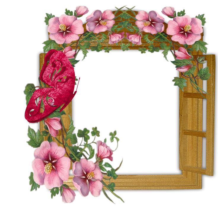Beautiful Borders And Frames Clipart Best