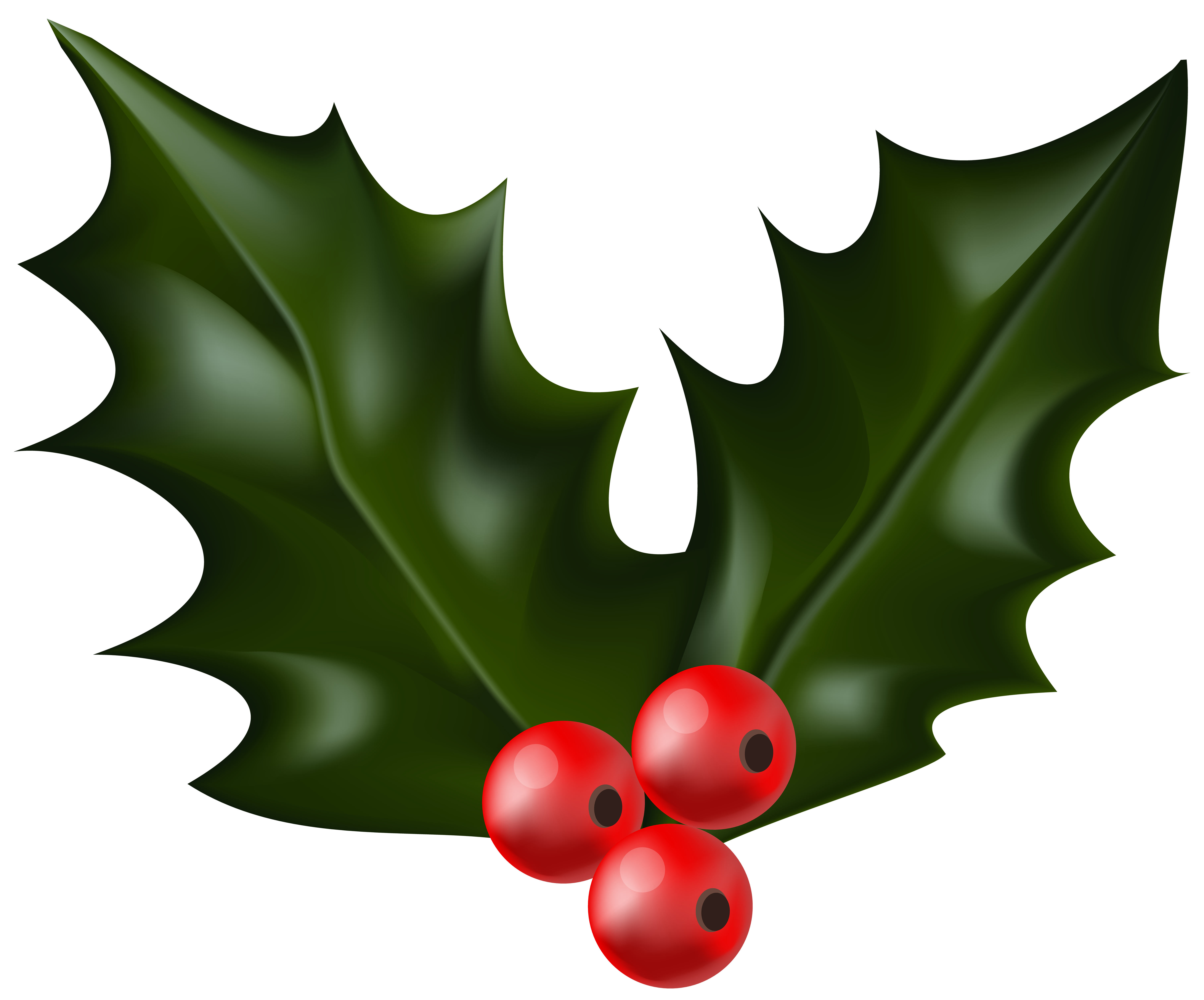 Christmas Holly Mistletoe PNG Clip Art