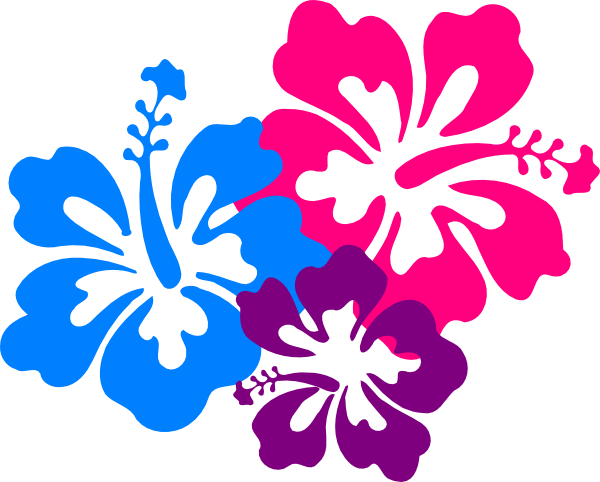Hawaiian flowers border clipart