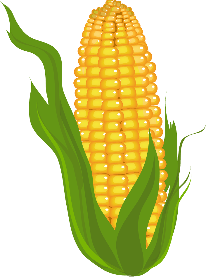 Corn plant clip art free corn plant clip art jobspapa clipart ...