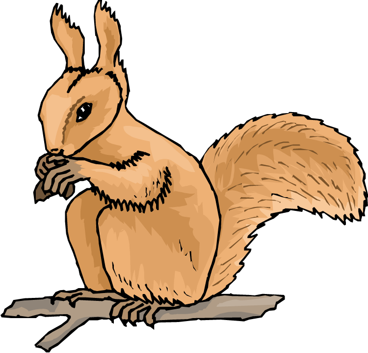 Picture Squirrel | Free Download Clip Art | Free Clip Art | on ...
