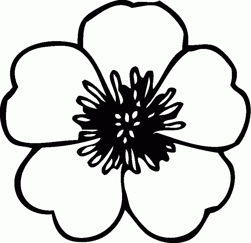 Preschool Flower Template - AZ Coloring Pages