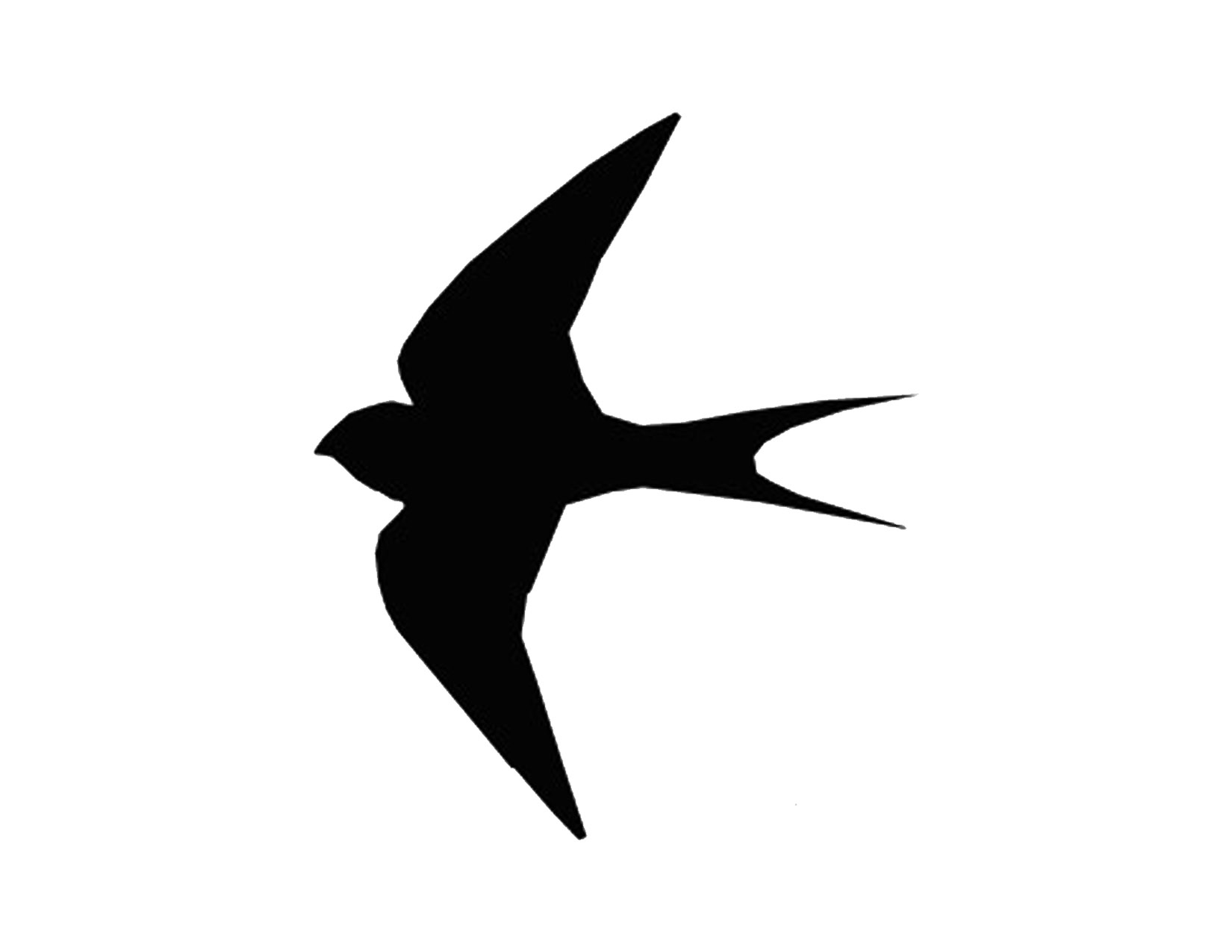 Cut out bird silhouette flying clipart