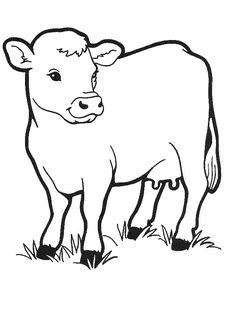 Coloring, Texas longhorns and Free printable coloring pages on ...