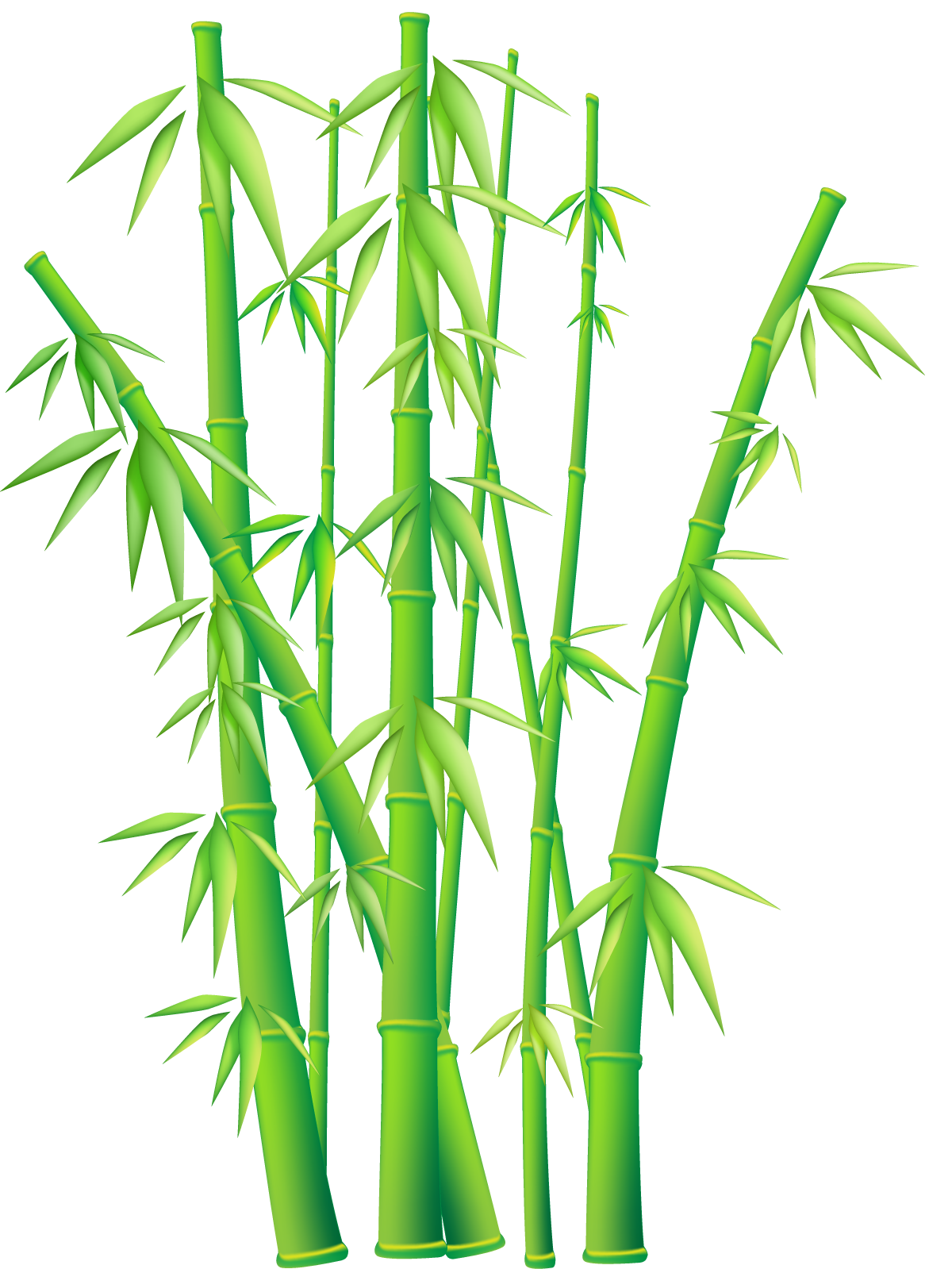 Clipart bamboo