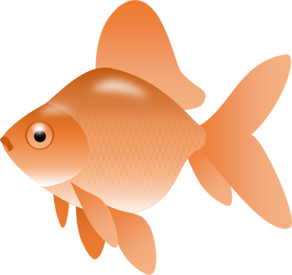 free clipart goldfish - photo #40