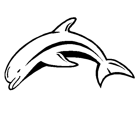 Dolphin Outline - ClipArt Best